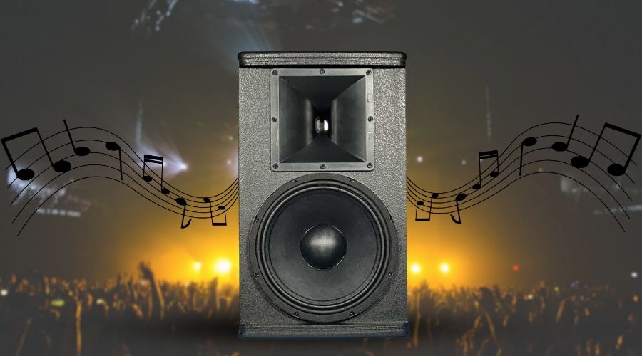 Loa Karaoke Kasen FLF-1201 ảnh thật