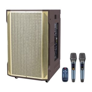 Loa Kéo Di Động Kasen VJ-153G